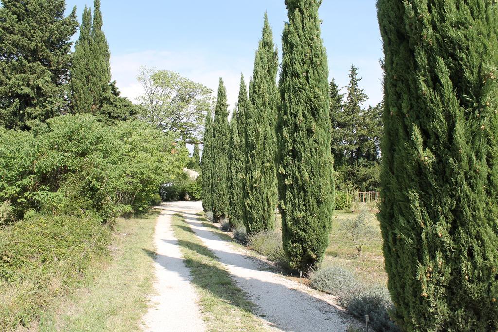 Hébergement de vacances Le Mas Mérindol Ventoux Loriol-du-Comtat